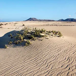 Contenta Corralejo